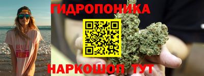 гидропоника Краснознаменск