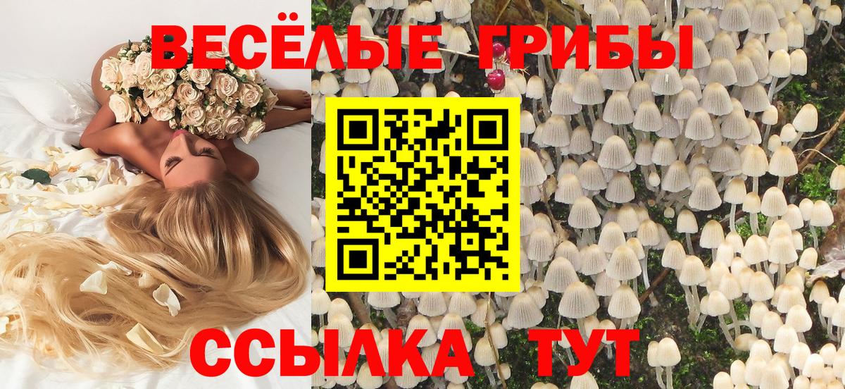 Галлюциногенные грибы GOLDEN TEACHER Ипатово