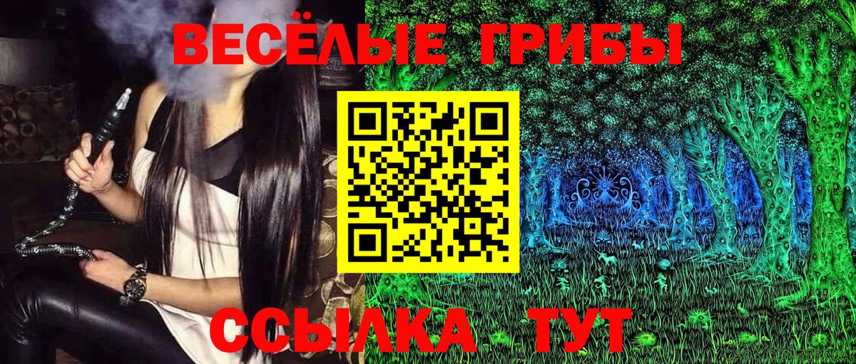 Ипатово  дарнет шоп  Вход с VPN  Псилоцибиновые грибы Psilocybe 